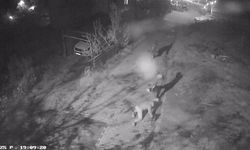 Gebze’de 8 Milyonluk Gasp Dehşeti! Yerlerde Sürüklediler