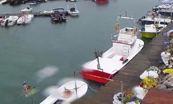 Kocaeli'yi Fırtına Vurdu!