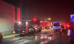 Kocaeli'de geri dönüşüm deposunda yangın: 1 yaralı