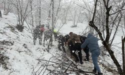 Kar Yağışı Kazayı Beraberinde Getirdi