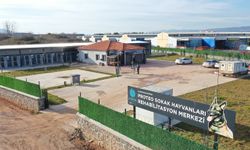 Sokak Hayvanlarına 5 Dönümlük Yeni Yaşam Alanı