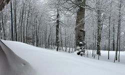 Kartepe’de Kar Kalınlığı Şaşırttı!