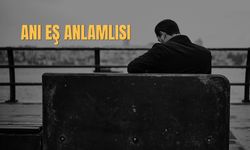 Anı Eş Anlamlısı Nedir? Anı Kelimesinin Eş Anlamlıları