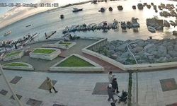 Kediye Tekme Atıp Denize Döktü