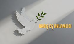 Barış Eş Anlamlısı Nedir? Barış Kelimesinin Eş Anlamlıları