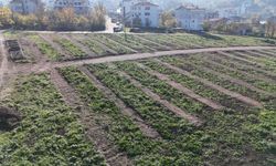 Büyükşehir’den Gölcük’e yeni mezarlık alanları