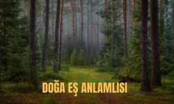 Doğa Eş Anlamlısı Nedir? Doğa Kelimesinin Eş Anlamlıları