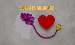 Duygu Eş Anlamlısı Nedir? Duygu Kelimesinin Eş Anlamlısı