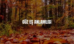 Güz Eş Anlamlısı Nedir? Güz Kelimesinin Eş Anlamlıları