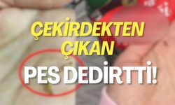 Çekirdekten Çıkan Pes Dedirtti!