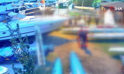 Derince’de Kaçak Deniz Küreği Operasyonu