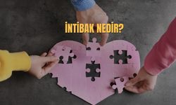 İntibak Ne Demek? İntibak Nedir? İntibak TDK Anlamı
