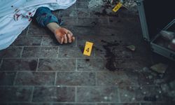 Kandıra'da Baltalı-Bıçaklı Cinayet