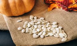 920 Kilo Kabak Çekirdeğini Neden Çaldılar?