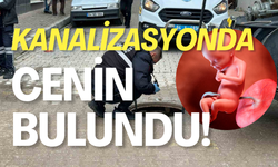 Kanalizasyonda Cenin Bulundu!