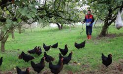 Kırsalda istihdam artıyor!