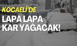 Kocaeli'de Lapa Lapa Kar Yağacak!