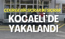 Aranan Hırsız Kocaeli'de Yakalandı!