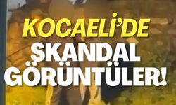 Kocaeli'de Skandal Görüntüler!