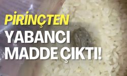 Pirinçten Yabancı Madde Çıktı!