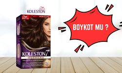 Koleston Boykot Mu? Koleston İsrail Malı Mı, Kimin?