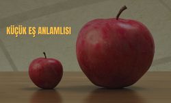 Küçük Eş Anlamlısı Nedir? Küçük Kelimesinin Eş Anlamlıları