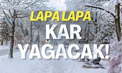 Lapa Lapa Kar Yağacak! Meteoroloji Tarih Verdi