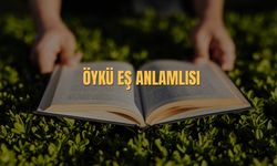 Öykü Eş Anlamlısı Nedir? Öykü Kelimesinin Eş Anlamlıları