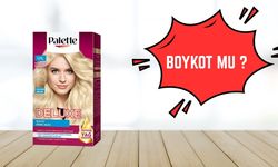 Palette Boykot Mu? Palette İsrail Malı Mı, Kimin?