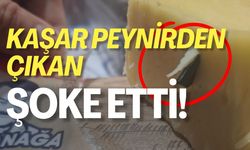 Kaşar Peynirden Çıkan Şoke Etti!