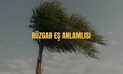 Rüzgar Eş Anlamlısı Nedir? Rüzgar Kelimesinin Eş Anlamlıları