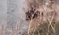 Sahilde Ceset Bulundu!