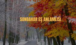 Sonbahar Eş Anlamlısı Nedir? Sonbahar Kelimesinin Eş Anlamlısı