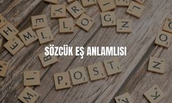 Sözcük Eş Anlamlısı Nedir? Sözcük Kelimesinin Eş Anlamlıları