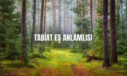 Tabiat Eş Anlamlısı Nedir? Tabiat Kelimesinin Eş Anlamlıları
