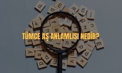 Tümce Eş Anlamlısı Nedir? Tümce Kelimesinin Eş Anlamlısı