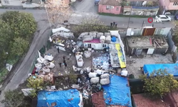 Şehrin Göbeğinde At Doğruyorlar