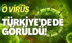 O Virüs Türkiye'de De Görüldü!