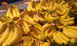 Soğuk Hava Tezgâhlara Yansıdı: Doğu Kışla’da Fiyatlar Arttı