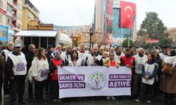 Dem Parti'den Emek Yürüyüşü: "Asgari Ücret En Az 46 Bin Olmalı"