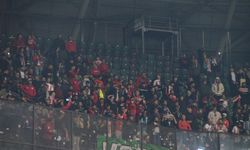 Renklerin Kardeşliği Yeşil Sahada