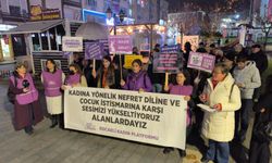 "Bu ülkede kadınlara yönelik saldırılar tesadüf değil"