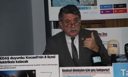 Milletvekili Kanko: "Tüketilen et azalırken ülkedeki at sayısı azaldı"
