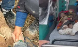 10 Yaşındaki Çocuk Toprağa Gömülü Halde Bulundu