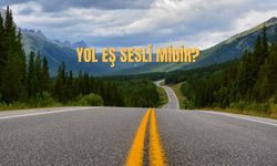 Yol Eş Sesli (Sesteş) midir? Yol Kelimesinin Eş Seslisi