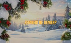 Zemheri Ne Demek? Zemheri Kelimesinin Anlamı Nedir?