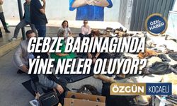 Gebze Barınağında Yine Neler Oluyor?