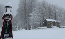 Kocaeli'nin Yüksek Kesimleri Beyaza Büründü