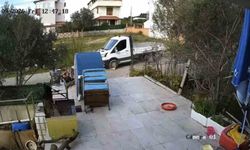 Köpeği Ezip Geçti!