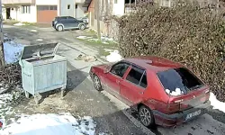 Ezilen köpeğin dramı: Daha önce de tüfekle vurulmuş